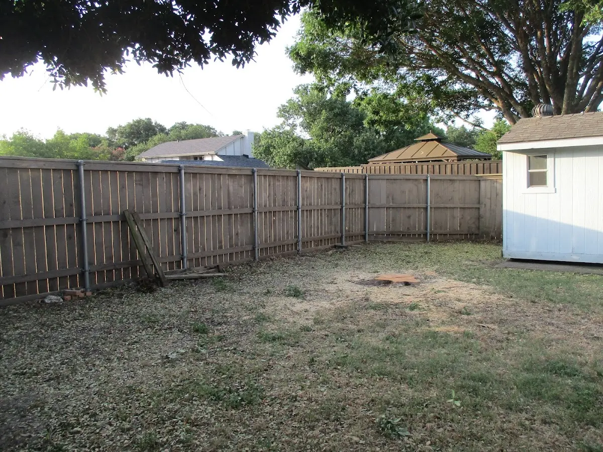 Cleared yard after professional tree removal in Newport News