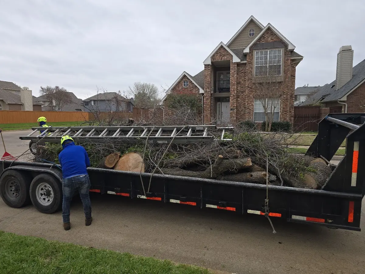 Expert Tree Fertilization with proper safety equipment in Newport News